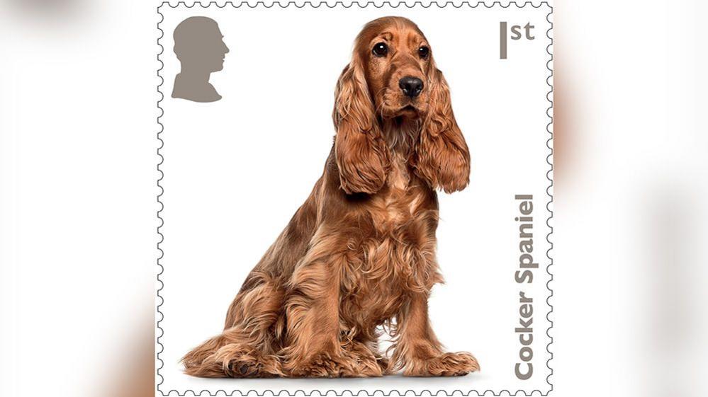 cocker spaniel stamp