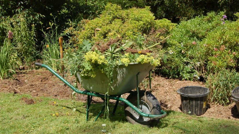 A silver and green wheelbarrow, with a black wheel, loaded with garden debris. Green bushes are in the background and grass in the foreground. A black bucket sits to the right of the wheelbarrow and a wooden garden fork has been pushed into nearby soil.