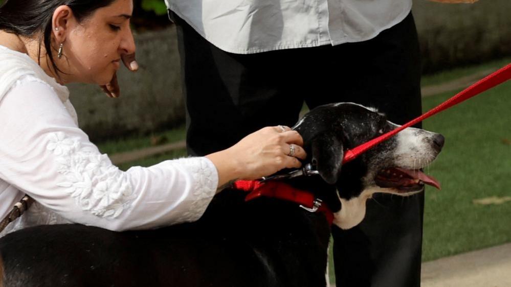 A woman plays with Ratan Tata's dog, Goa, as people attend the final viewing of the former chairman of Tata Group Ratan Tata, in Mumbai, India, October 10, 2024. 