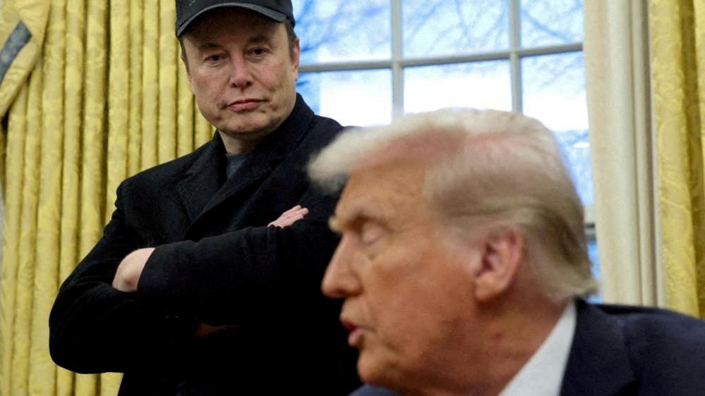 File image of Elon Musk standing over Donald Trump in the Oval Office