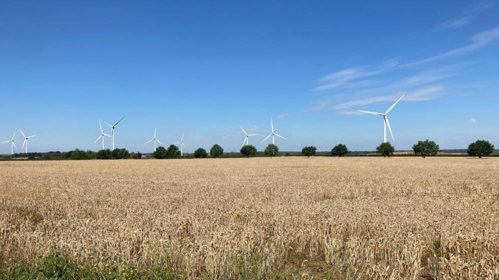 Wind turbines behind a field