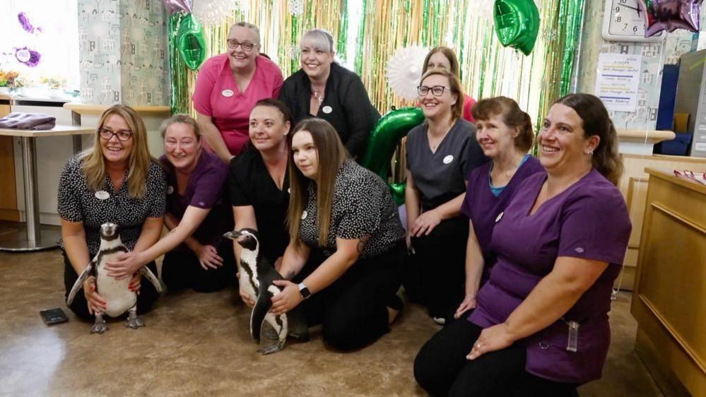 Staff of Amberley Hall pictured with two small grey and white penguins. They are kneeling on the ground. Some of the staff are wearing purple tops and black trousers, while others are in pink, or black, or black and white tops.