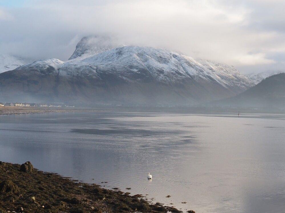 A swan swims on Corpach Loch with a snow-capped Ben Nevis in the background.