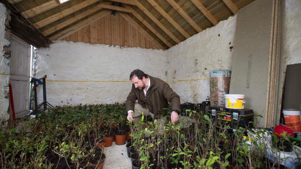 Thomas Robinson is dressed in agricultural clothes and bends down among plants in pots in a small outhouse