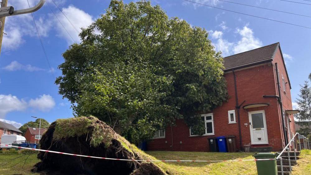 A felled tree was left resting on a house in Bury