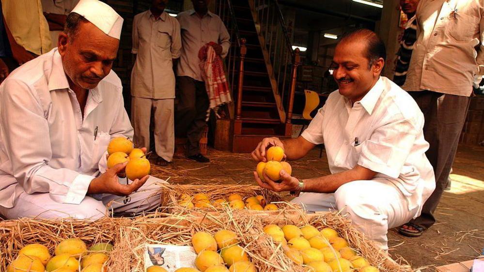 The photo gives a view of the traders and buyers for Alphonso Mango, wearing traditional caps at a market in Mumbai, Maharashtra, India. 