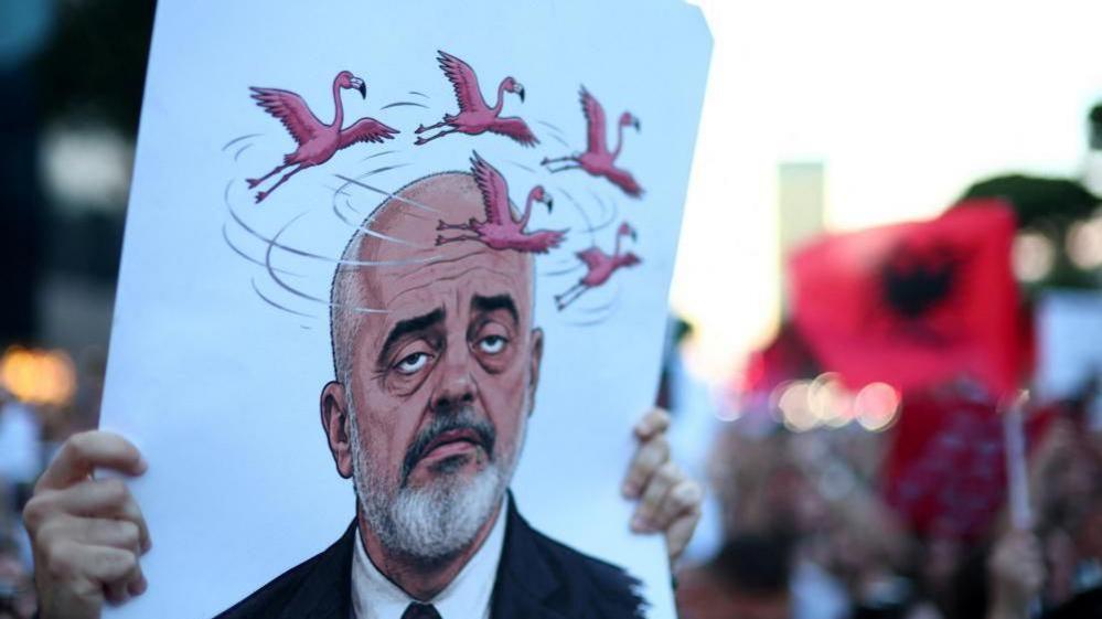 A protester holds a sign depicting Albanian Prime Minister Edi Rama with flamingos flying round his head, during a protest in Albania