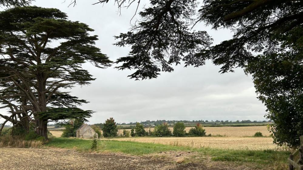 Field with trees and bushes and a small stone building