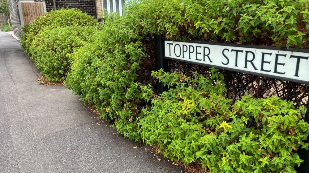 A road sign for Topper Street is surrounded by neat shrubs.