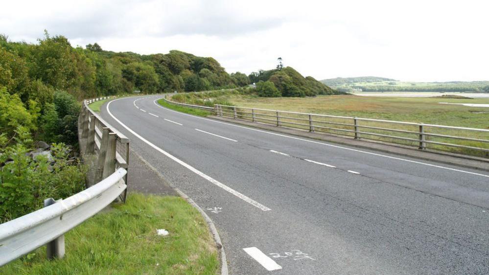 A winding road along the Galloway coast with trees to one side and flat land leading out to sea on the other