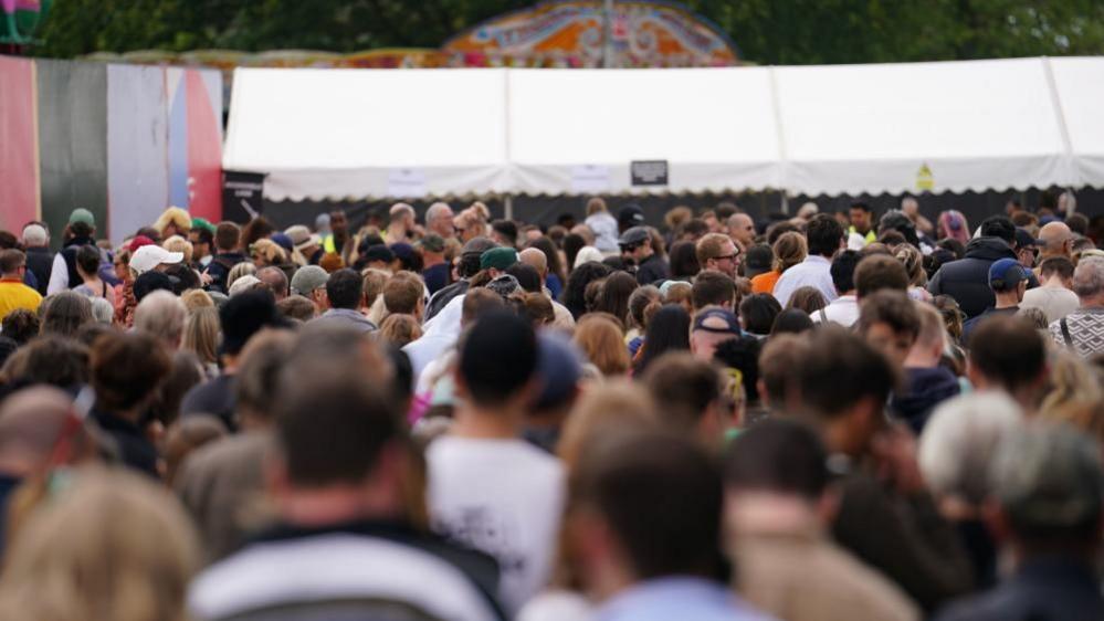 Crowds at the Lambeth Country Show on 8 June