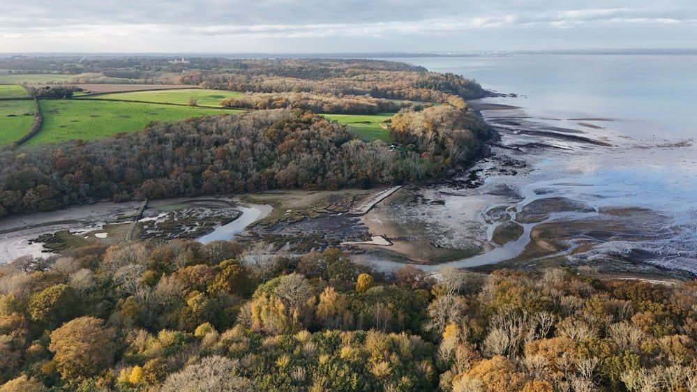 An aerial view of King's Quay - an area of coastline covered with trees and marshland. The tide is out.