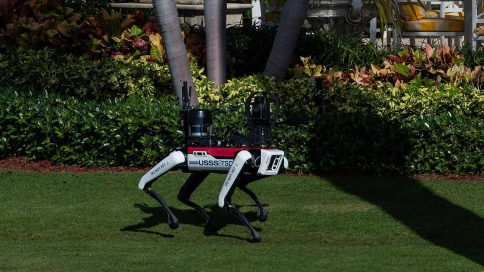 A futuristic-looking robotic dog made by Boston Dynamics patrols the grounds of President-elect Donald Trump's Florida residence