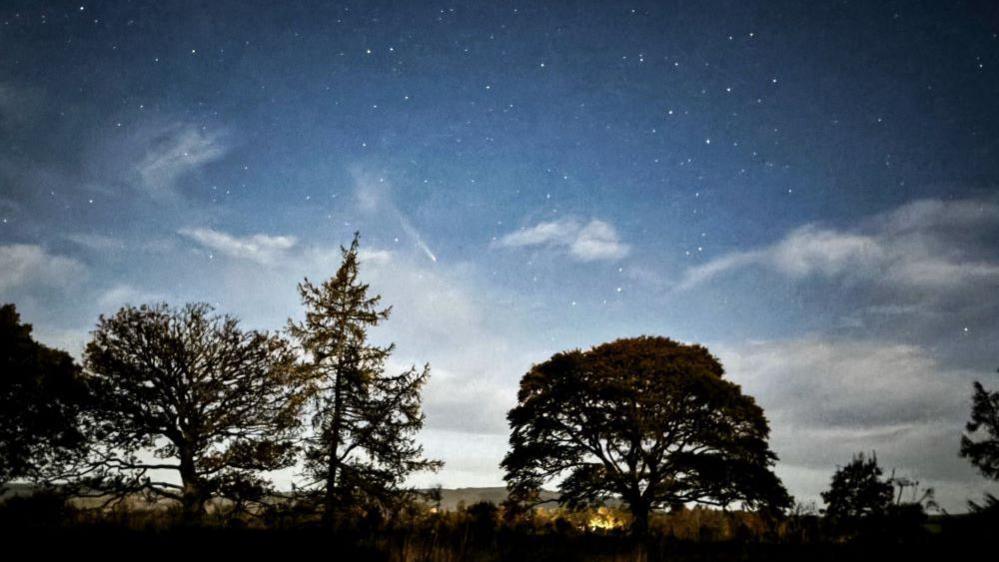 This image shows stars in a blue sky, with a comet flying through. At the bottom you can see the silhouette of several trees of different shapes and sizes.