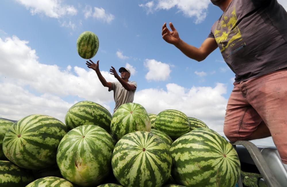 A man catches a watermelon