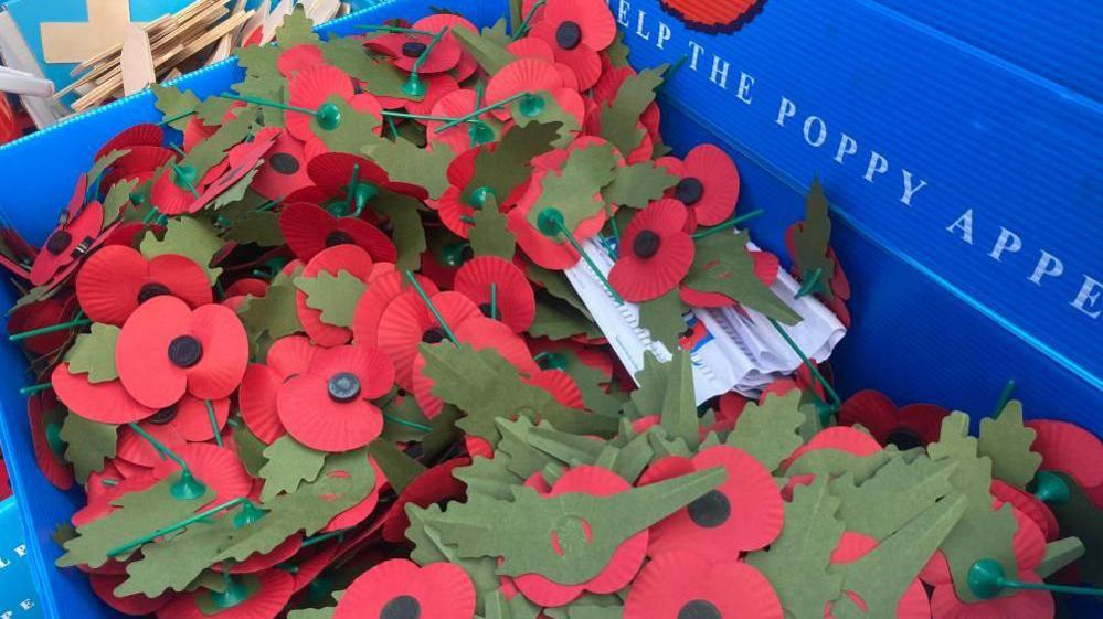 A stock image shows a box of Royal British Legion poppies