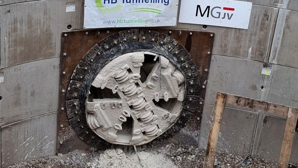 The tunnel can be seen underground with a black outer ring around it and a clay like appearance on the inside