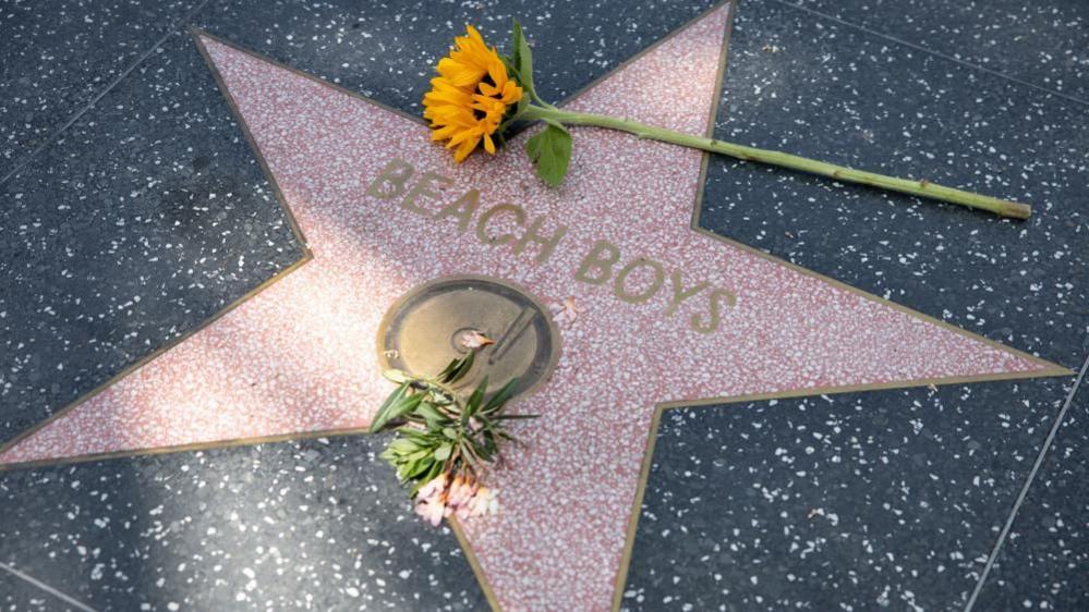 Flowers lie on the Beach Boys' Hollywood Walk of Fame star in Los Angeles, California, USA, 11 June 2025.