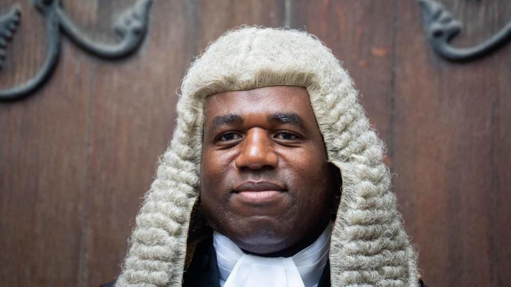 David Lammy in a justice wig at his swearing in ceremony as Lord Chancellor 