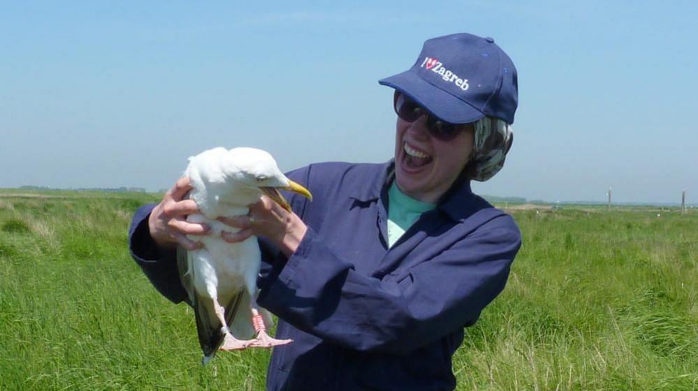 Dr Viola Ross-Smith holding a herring gull at Orfordness, Suffolk