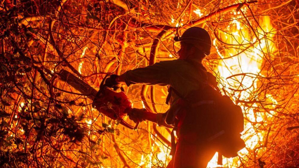 A firefighter with a chainsaw appears to cut down vegetation as a wildfire approaches