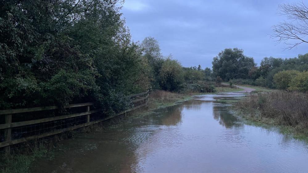 Standing water meanders through trees and hedges, some of which are behind a wooden fence to the left. A path is visible emerging from the water as the ground gets higher.