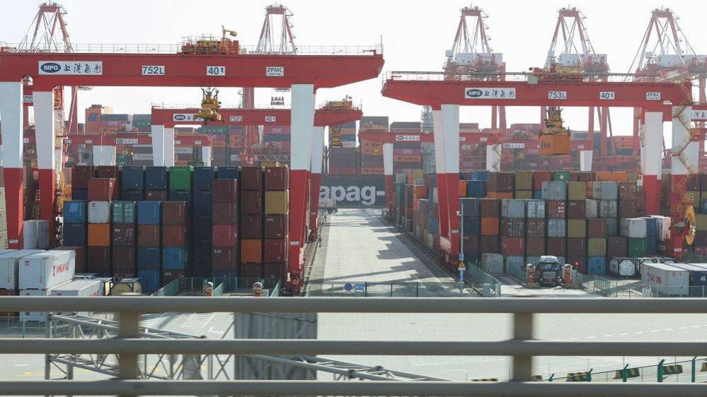 Gantry cranes stand near shipping containers at Yangshan Port outside of Shanghai, China