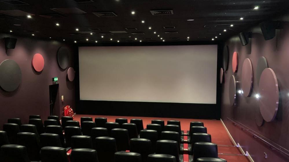 An empty small cinema screen. The screen is blank. The walls are purple and black, while the seats are black