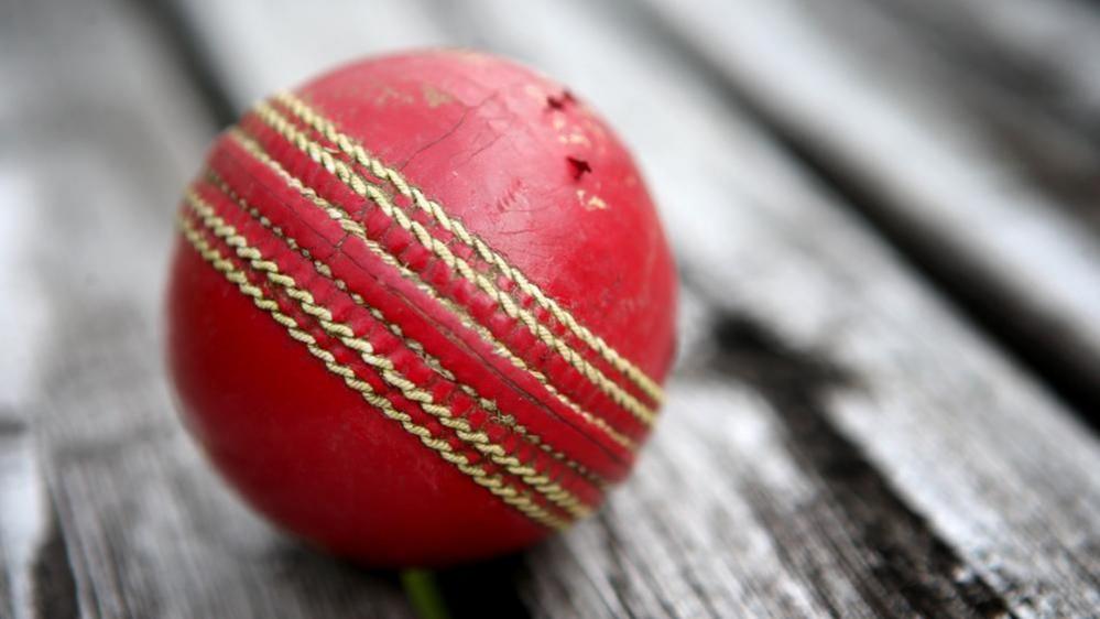 Close-up image of a traditional red cricket ball on a black-and-white background