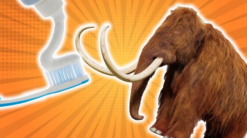 graphic of a mammoth with a toothbrush and toothpaste