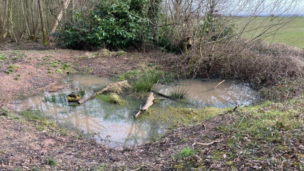 A restored pond which holds water to stop it flowing downstream as quickly.