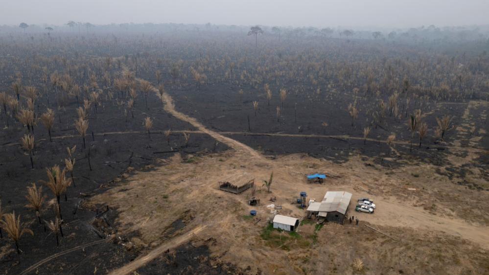 An aerial photograph shows a section of the Guajará Mirim State Park damaged from fire, in Nova Mamoré, Brazil, 11 September 2024.