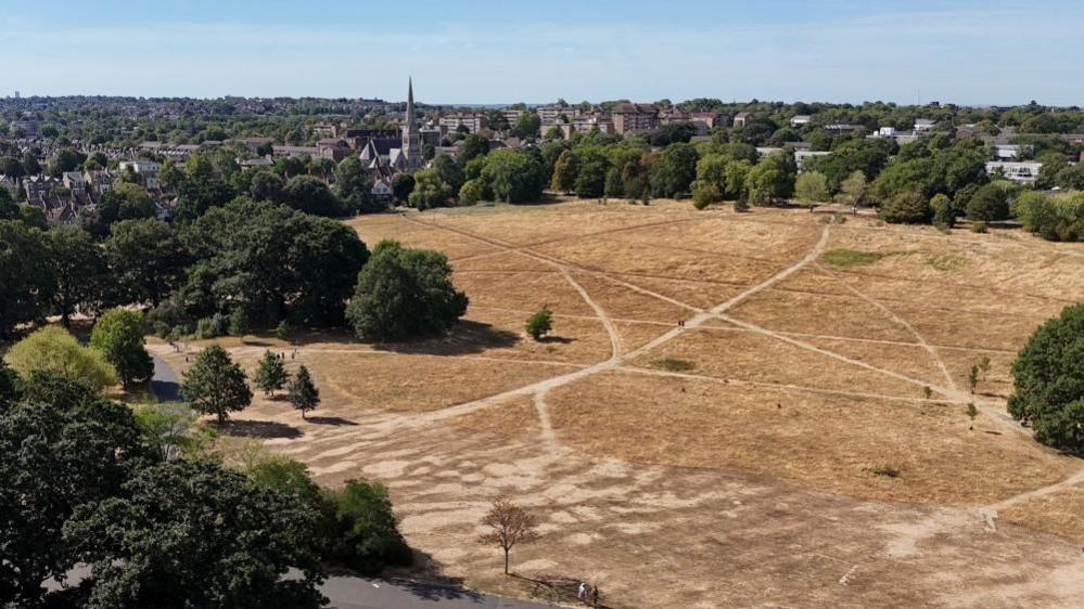 An aerial view of Brockwell Park in London which is brown and dry. It is surrounded by green trees and buildings in the distance. 