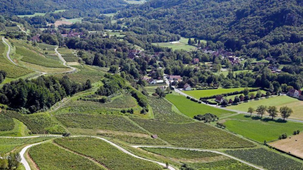 Sloping hills and vineyards in the Jura region of France on a sunny day