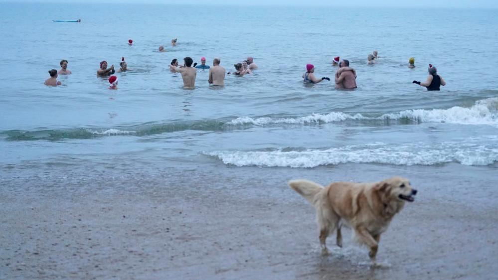 About 20 swimmers in the sea with heads and upper bodies visible in the early morning. A dog is doing the opposite of the humans and heading away.