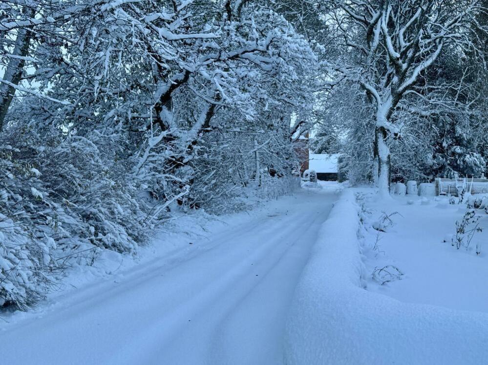 Snow covers a road surrounded by trees with a snow-covered wall on one side.