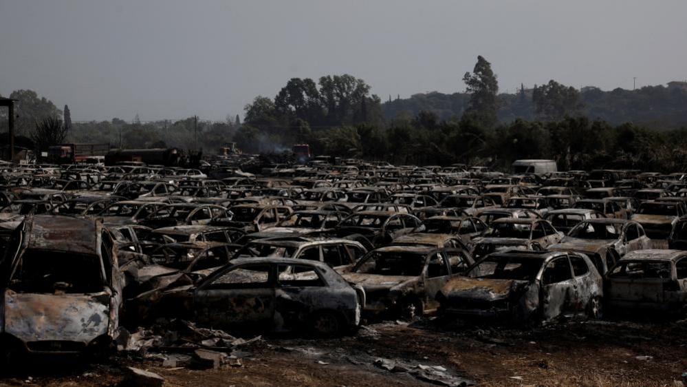 A field of hundreds of blackened charred burnt cars