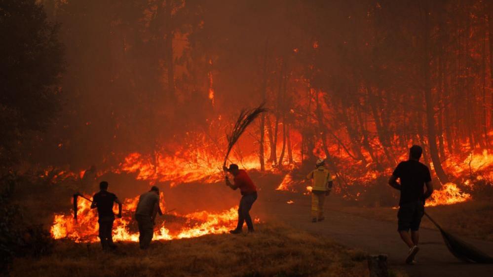 A large forest engulfed in thick orange flames with  one firefighter in the background and four men with wicker brooms trying to bat out the flames