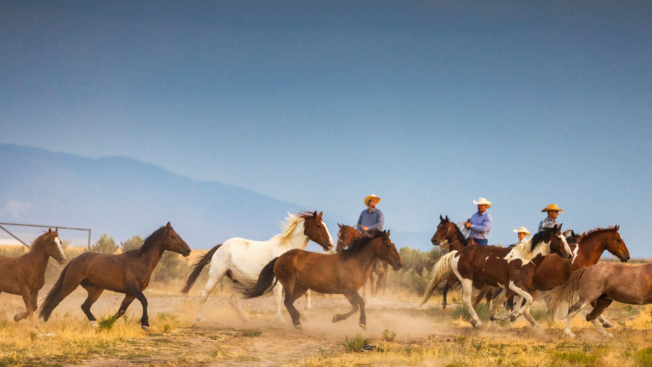 Vaqueros en Utah.