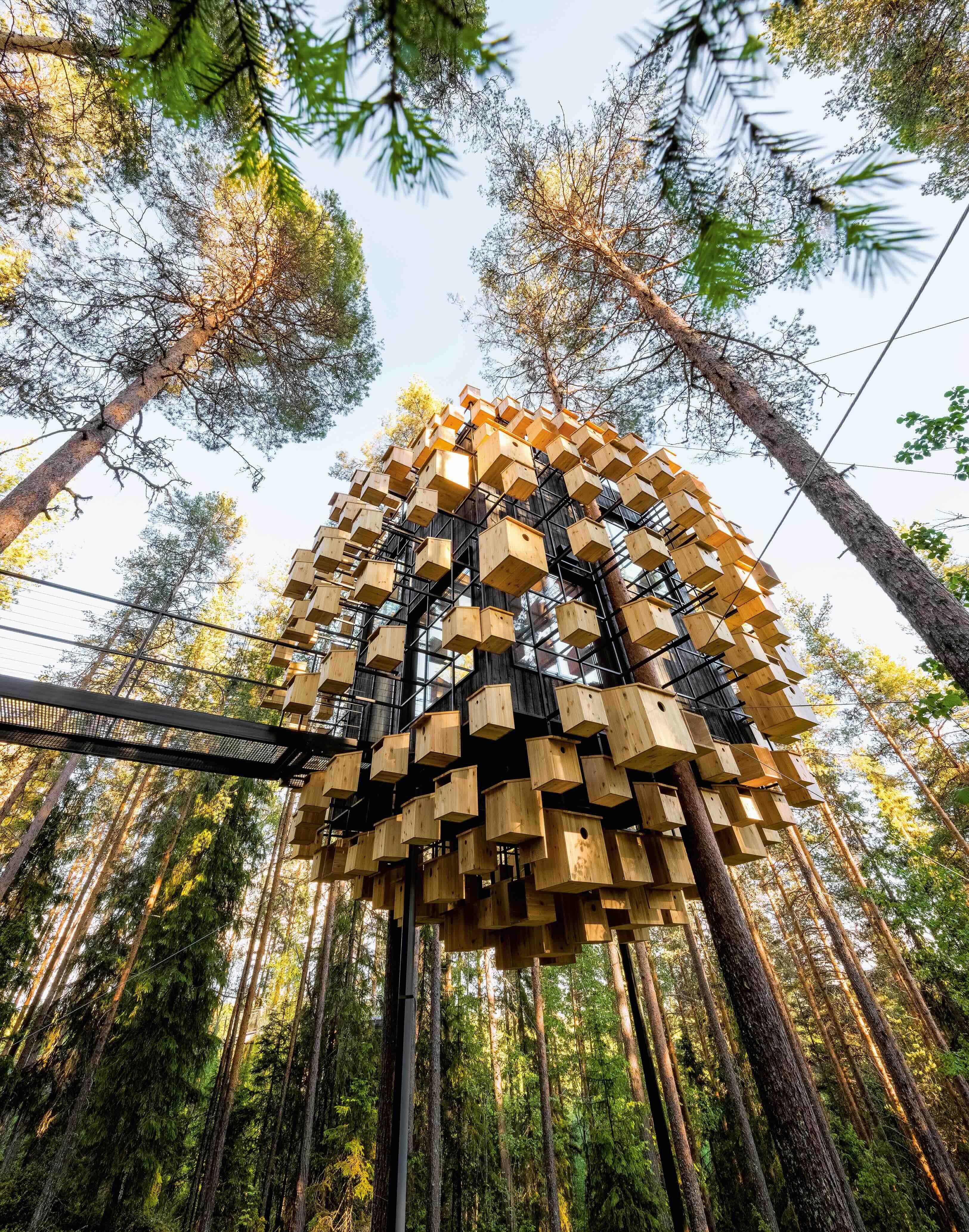 Una estructura cúbica suspendida en lo alto de un bosque, sostenida sobre unos árboles y unas vigas. La estructura está conectada a un puente colgante. Además, rodeando la estructura cúbica, hay una grilla metálica de la cual se desprenden lo que parecen ser decenas de casas para pájaros de madera.