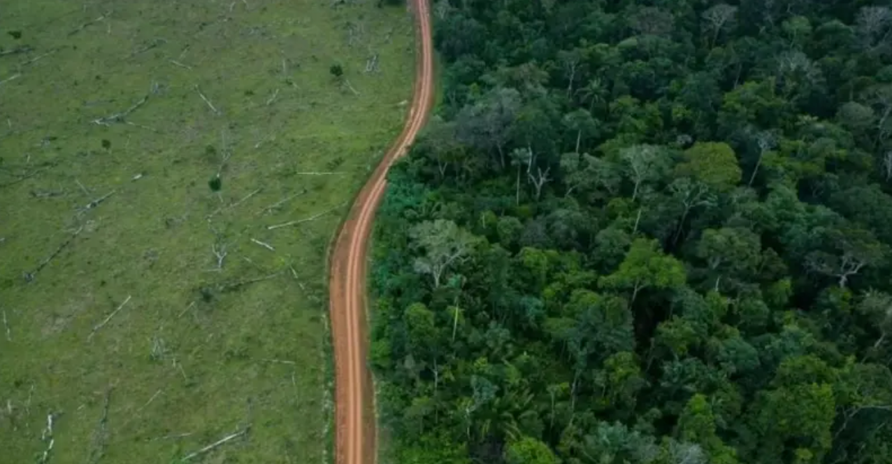 Imagem mostra &aacute;rea preservada de floresta (&agrave; direita) e &aacute;rea desmatada (&agrave; esquerda) cruzada por uma rodovia sem asfalto