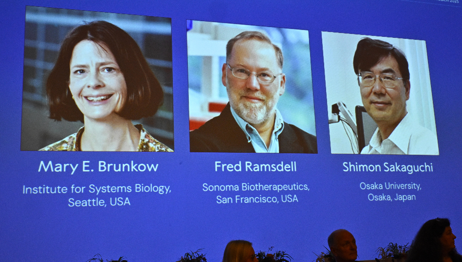 Pantalla con las tres fotos de cada uno de los galardonados del Premio Nobel de Medicina 2025, Mary E. Brunkow, Fred Ramsdell y Shimon Sakaguchi, en la rueda de prensa donde se anunció el premio.