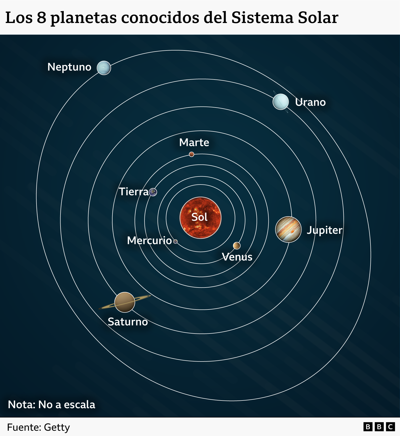 Un gráfico que muestra las órbitas de los ocho planetas conocidos alrededor del Sol: Mercurio, Venus, la Tierra, Marte, Júpiter, Saturno, Urano y Neptuno.