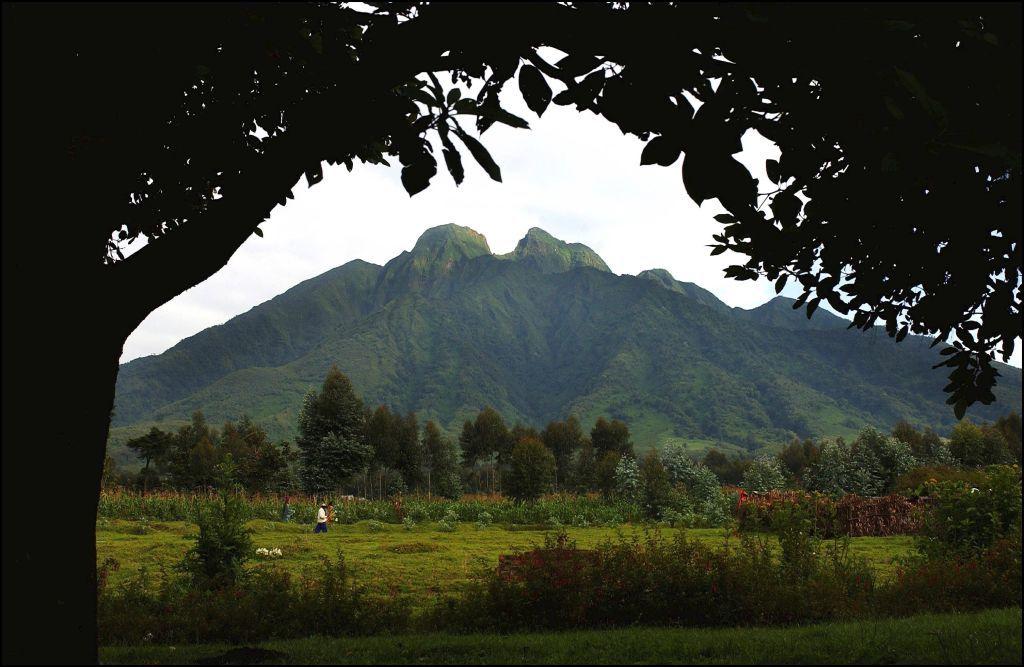 Vista de las montañas de los Volcanes.
