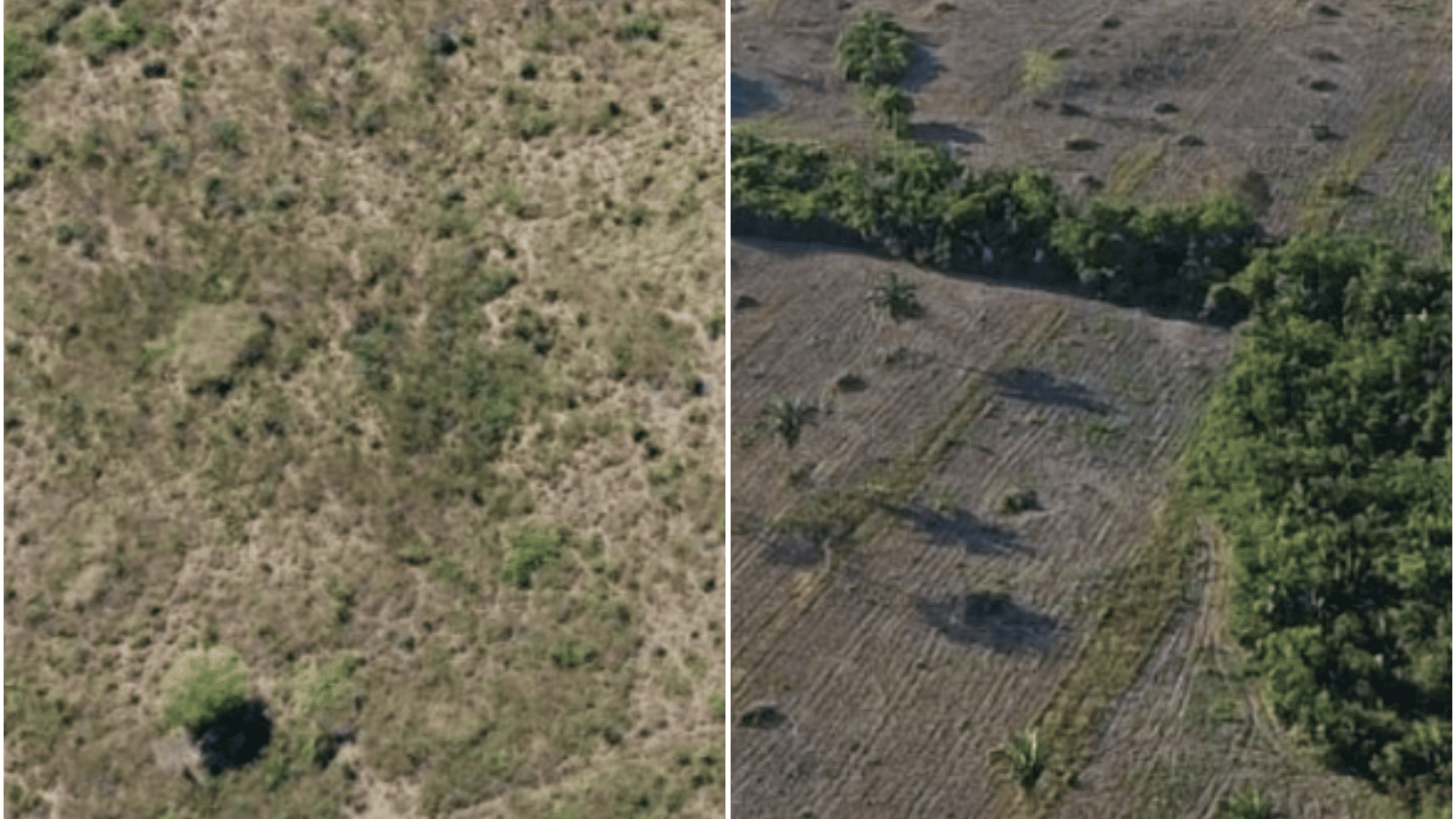 Colagem de fotos mostra &aacute;rea &aacute;rida e outra com mais verde