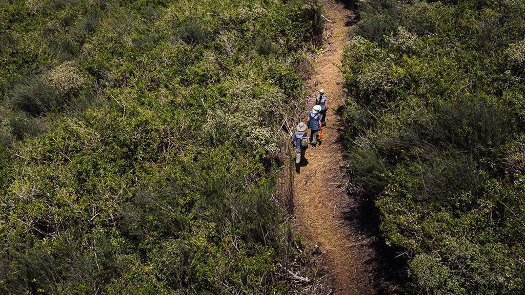Tres investigadores caminan por un sendero en la isla Floreana.
