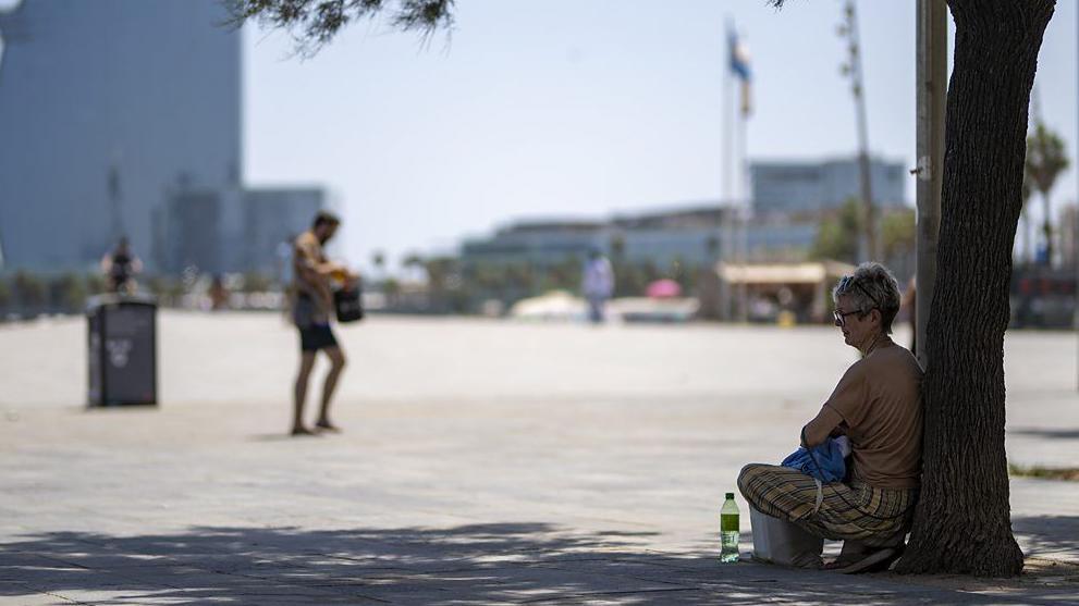 أشخاص يستظلون بالأشجار