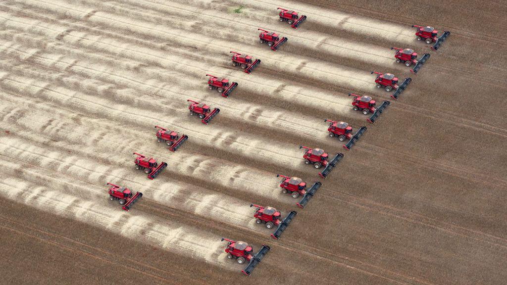 A imagem a&eacute;rea mostra diversas colheitadeiras trabalhando simultaneamente em uma planta&ccedil;&atilde;o de soja. As m&aacute;quinas avan&ccedil;am em linhas paralelas, formando um padr&atilde;o geom&eacute;trico sobre a lavoura e deixando faixas claras de solo j&aacute; colhido, evidenciando a escala e a mecaniza&ccedil;&atilde;o da produ&ccedil;&atilde;o agr&iacute;cola.