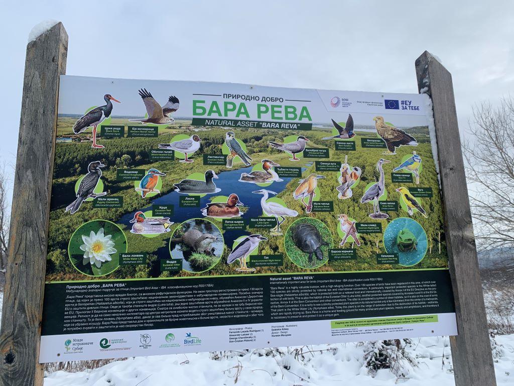 poster pored bare Reve na kome su nacrtane neke od vrsta koje ovde žive