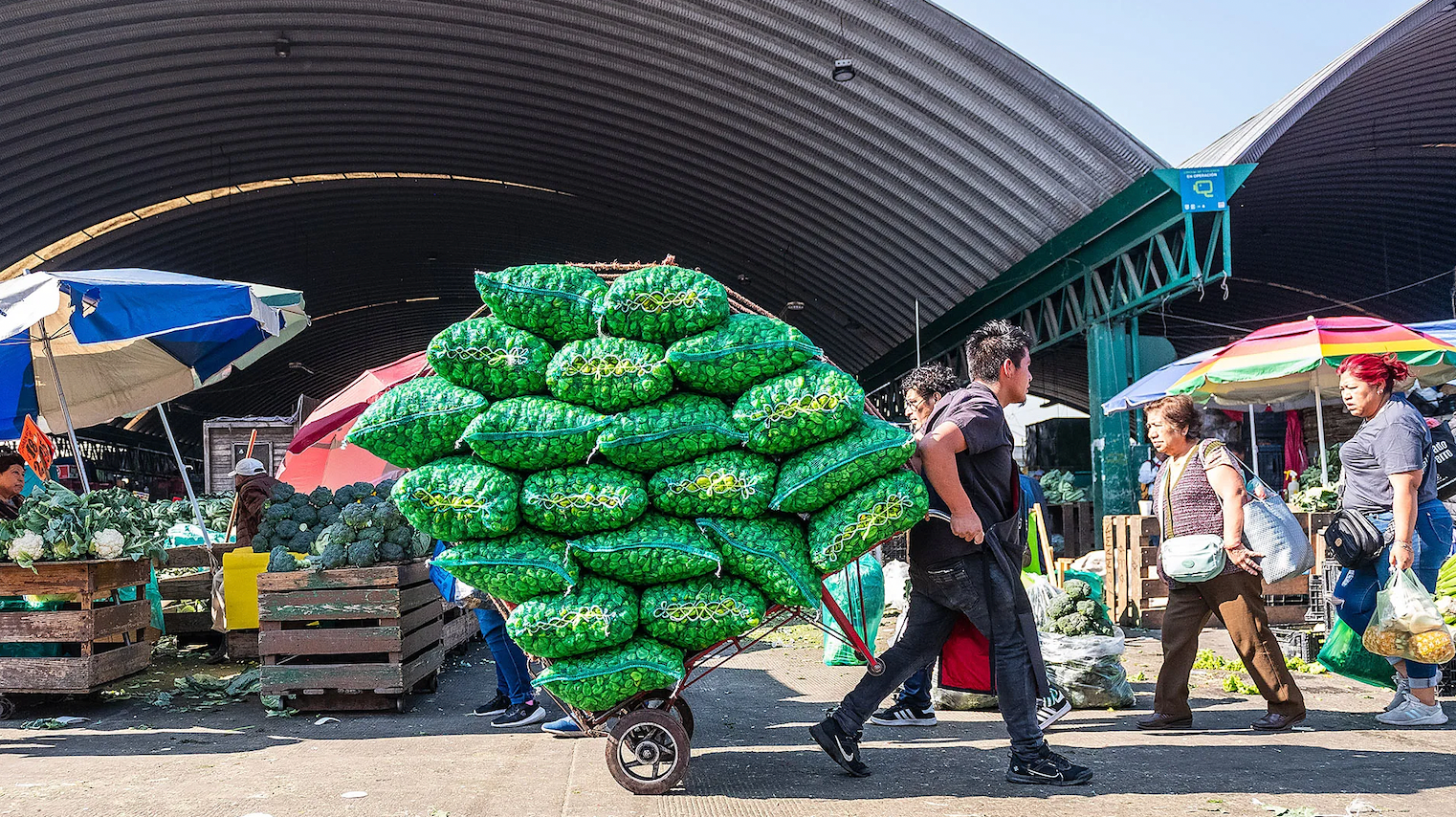 넓은 시장 앞, 커다란 아치형 지붕이 이어진 창고들이 줄지어 서 있다. 그 앞에서 한 남성이 손수레에 실린 커다란 채소 자루들을 끌며 이동하고 있다.